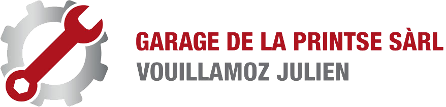 logotransp2